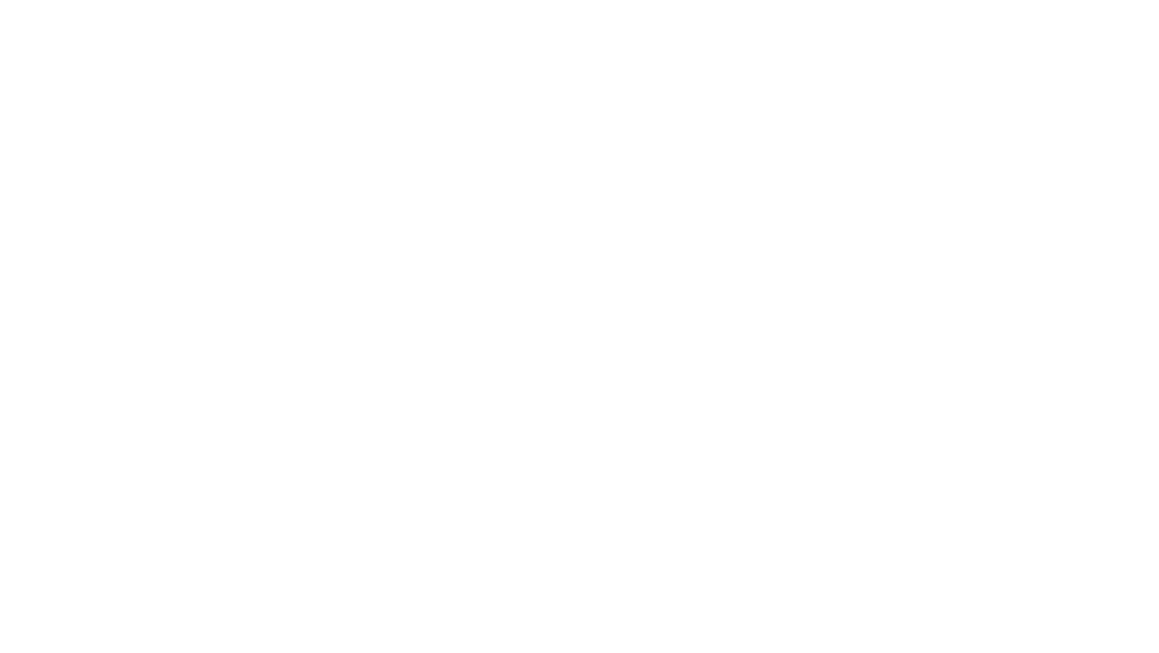 FS Aftermarket Logo